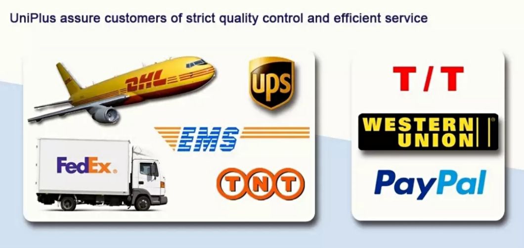 Docod 1651 70 Micron Nozzle Assembly for Metronic Spare Parts