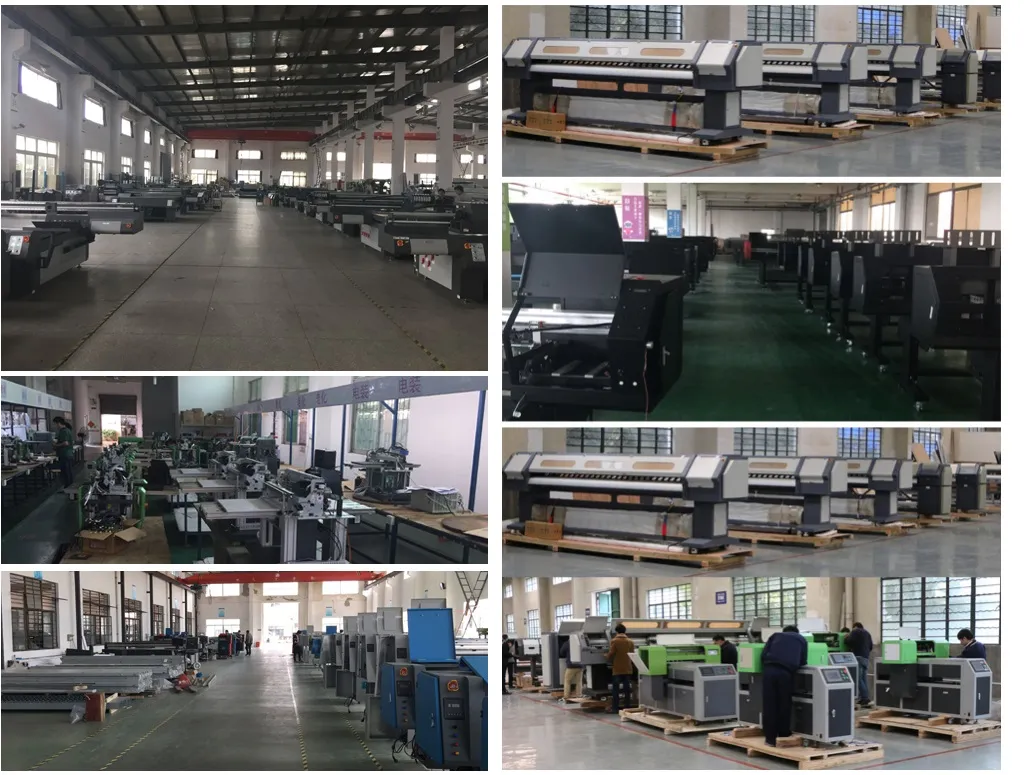 Flatbed T-Shirt Printer Cotton Fabrics Direct Printing Machine for Sale Wer-ED6090t